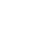 icon-nutricionista